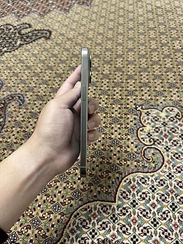 apple mac: IPhone 15 Pro Max, Natural Titanium, 87 % — 4