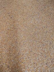 продаю связи с переездом: Продаю кукурузу оптом
кукуруза
жогору — 7