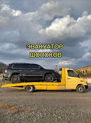 С лебедкой