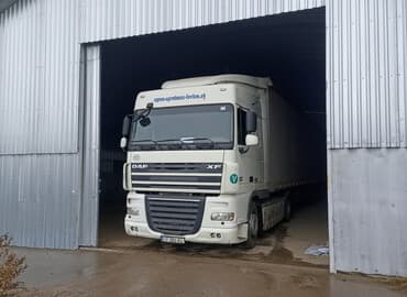 Кошки: Продаю кукурузу 20-30 т. жүгөрү — 1