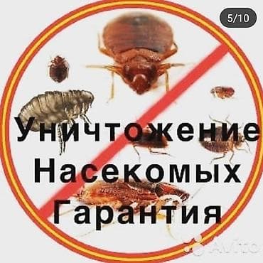 uv printer: Дезинфекция, дезинсекция, | Вирусы, микробы, Клопы, Блохи, | Подъезды, Офисы, Дома — 3