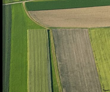 купить дом в селекции: 250 соток, Для сельского хозяйства — 3