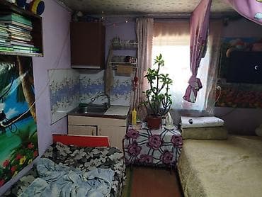 Кыймылсыз мүлк: Срочно продаётся дом с двумя участками,на участке имеется молодой — 5