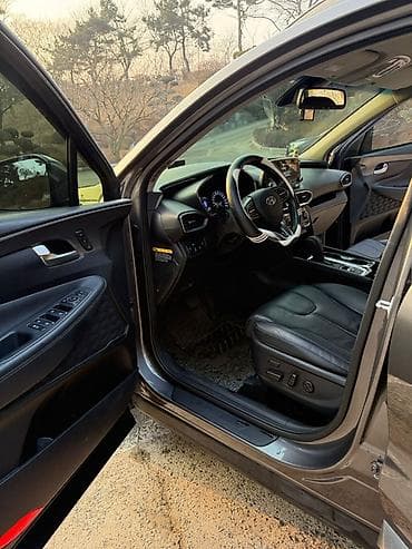 sprinter 4x4: Hyundai Santa Fe: 2019 г., 2 л, Автомат, Дизель, Кроссовер — 9