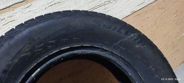 diska 14: Шины 265 / 65 / R 17, Зима, Новый, 1 шт, Внедорожные (АТ/МТ), Sailun — 2