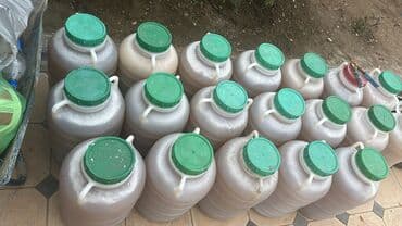 Токтогулский горный мёд