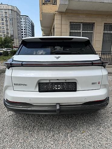 byd bot 384: BYD : 2023 г., Электромобиль, Кроссовер — 9