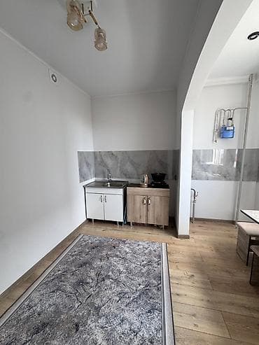 1 комната, 43 м², Киргизия 1 Элитка, 5 этаж, Свежий ремонт — 9