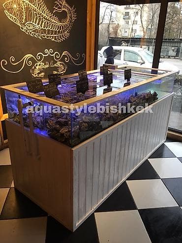 заводской аквариум: Мы создаем аквариумы и водопады по индивидуальному проекту - — 9