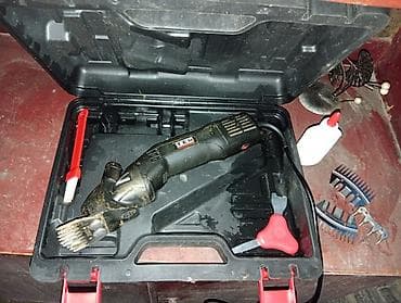 отпугиватель птиц: Машинка — 1