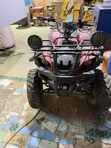 муравей бензиновый: Квадроцикл ). Компактный утилитарный/прогулочный класс. Основные — 1