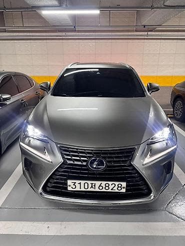 гранаты лексус: Lexus NX: 2020 г., Гибрид, Кроссовер — 2