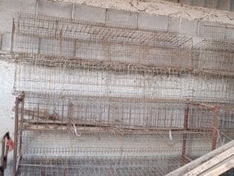 купить рабочую охотничью собаку: Многоярусные металлические клетки для сельскохозяйственной — 8