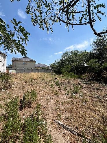 8 соток, Для бизнеса, Красная книга, Договор купли-продажи