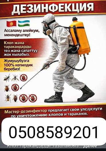 дезинфекции от тараканов: Дезинфекция, дезинсекция, | Тараканы, | Квартиры — 1
