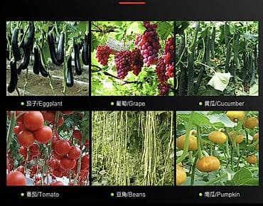 Үй жана бакча үчүн баардык: Тапанерлер жана бакча степлерлери — 4