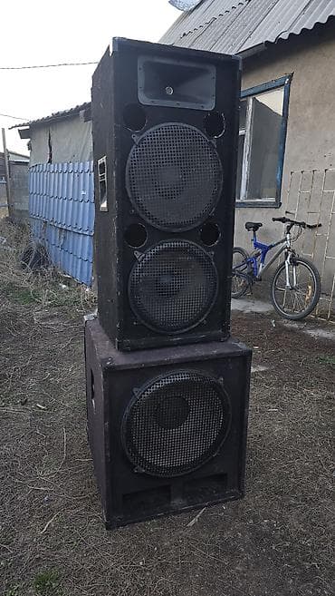 Микрофоны: Калонкалар сатылат 1штук 18дюм калонка. Динамик Paudio 1500ват — 3