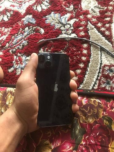 iphone 13 pto: IPhone 13, Черный, Кабель — 1
