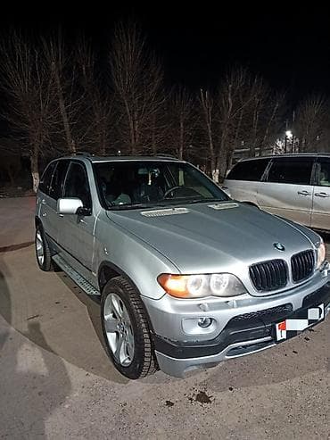 red cell: BMW X5: 2002 г., 4.4 л, Автомат, Бензин, Кроссовер — 2