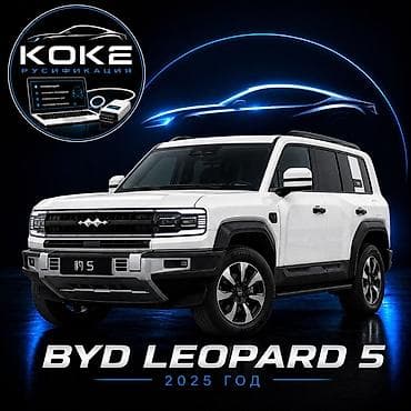 переводчик электронный: Русификация BYD Leopard 5 (2025) Профессиональная программная — 1