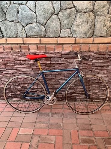 fixed gear: Городской велосипед с прямой посадкой - Рама: классическая стальная — 1