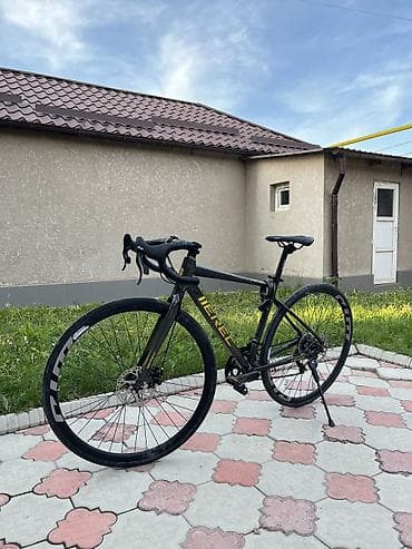 single speed: Шоссейный велосипед, Рама M (156 - 178 см), Б/у — 1