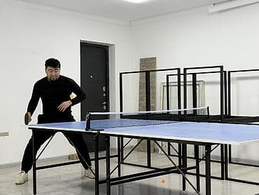 очки 3d: Теннисный стол (настольный теннис) - Игровая поверхность: синяя — 3