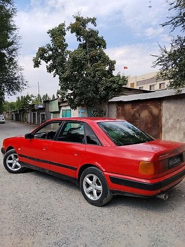 Audi 100: 1991 г., 2.3 л, Кол менен иштөөчү, Газ, Седан — 9