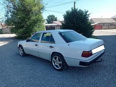газель бутка: Mercedes-Benz W124: 1992 г., 2.3 л, Автомат — 6