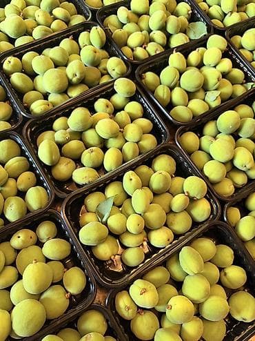 ВОТСАП ТОЛЬКО ЖАЗГЫЛА конец сезона ‼️ көк өрүк/короо/чукуру/клубника