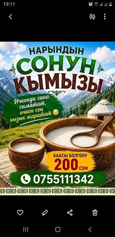 нарынский: Кымыз из Нарына — свежий, насыщенный вкус и традиционный рецепт — 1