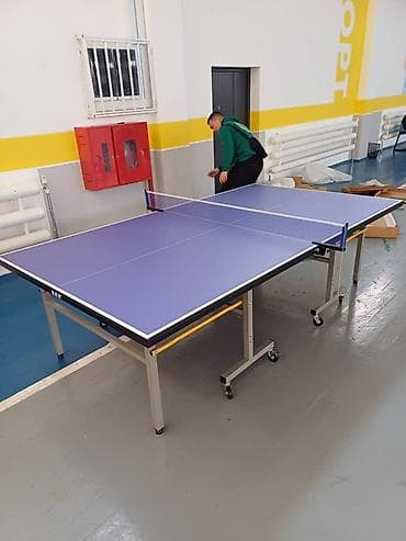 на столный теннис: Настольный теннисный стол с сеткой - Игровая поверхность — 1