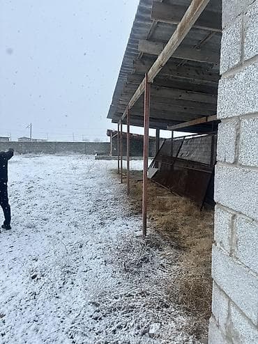 ферма кашара: Кошара, 50 соток, Действующий, Частично с оборудованием, Электричество, Канализация, Отопление — 2