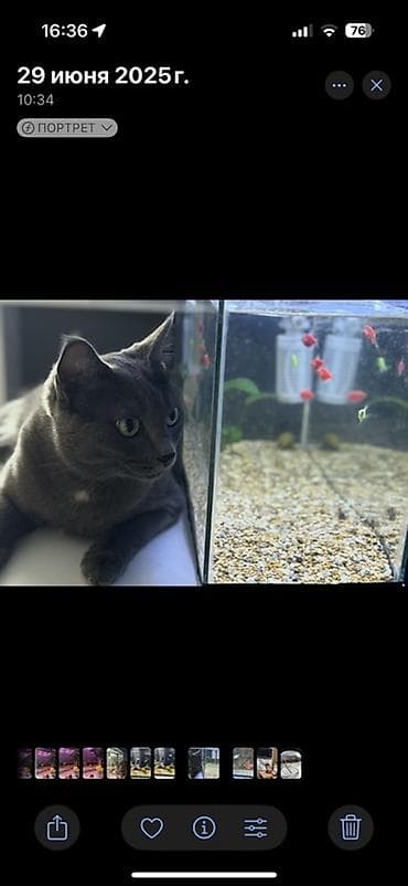 Аквариум стеклянный, прямоугольный - Объем: 20литров(компактный