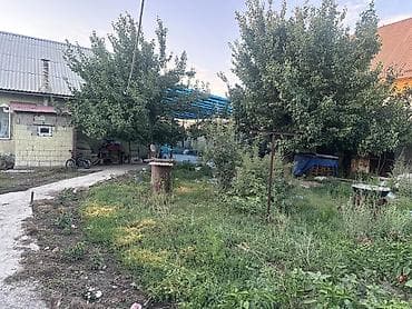 Кыймылсыз мүлк: Плодовый сад и дом для большой семьи с многообразием культур — 7