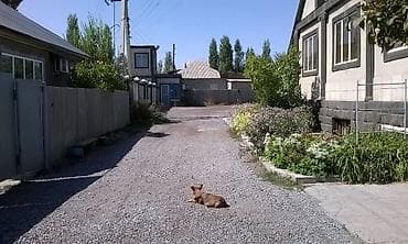 пш метр: Сдаю или продаю ангар в Беловодске. (Можно снять часть склада) — 4