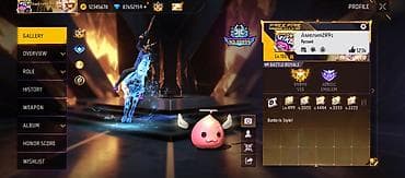 Nintendo Wii: Продажа игрового аккаунта Free Fire Основные параметры: - Ник — 2