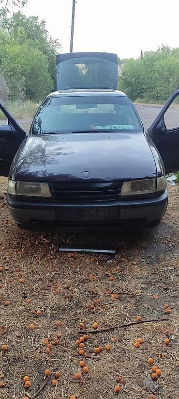 купить запчасти на опель вектра б: Opel Vectra: 1992 г., 1.8 л, Механика, Бензин, Хэтчбэк — 1