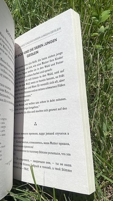Учебники: Книга “Die Brüder Grimm. Die besten deutschen Märchen / Лучшие — 4