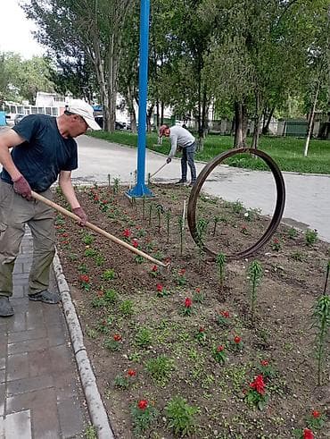 вакансии врача: Требуется разнорабочие в МП Тазалык график 8.00 до 17.00. з.п 32.000 — 3