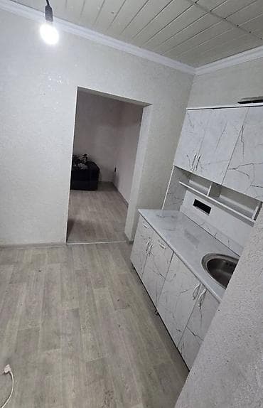 Батирлер: 1 бөлмө, Кыймылсыз мүлк агенттиги, Чогуу жашоосу жок, Жарым -жартылай эмереги бар — 1