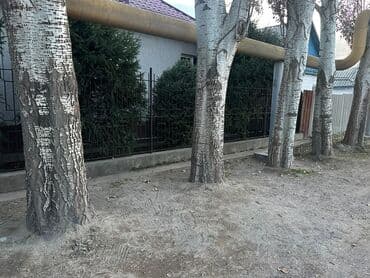 набор инструментов бишкек цена: Дрова Тополь, Самовывоз — 2