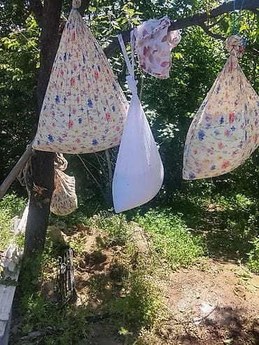 мука 1 сорт цена бишкек: Домашнее топлёное масло (ги) из коровьего молока - Натуральное масло — 6