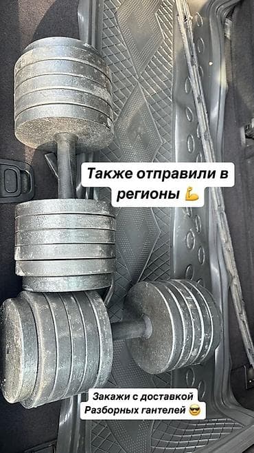 Разборные гантели с металлическими дисками. Вес можно регулировать