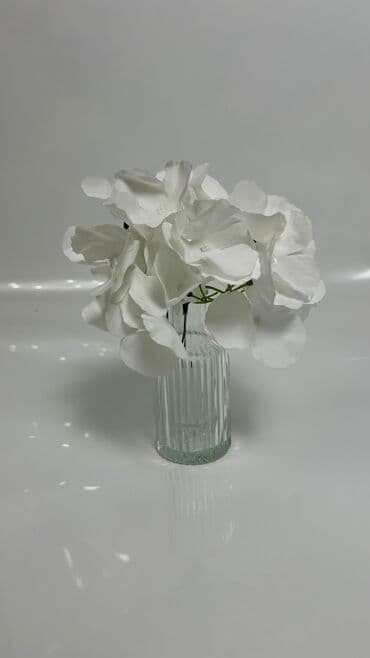 как заказать белого медведя на день рождения: Выездные банкеты | Оформители | Аренда столов, Аренда стульев — 19