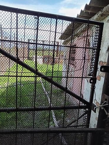 павильон мясной: Продаётся фермерский объект под содержание крупного рогатого скота. - — 6