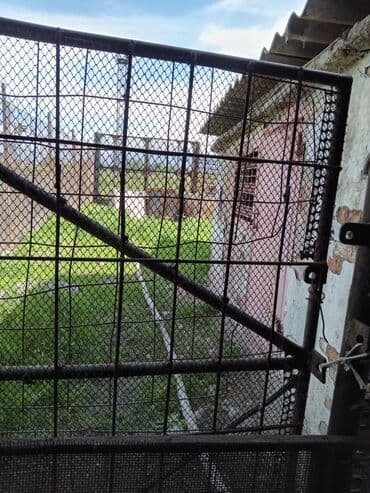 домик совхоз фрунзе: Продаю Ферма КРС, 10 соток, Действующий, Без оборудования, Электричество, Холодная вода — 8