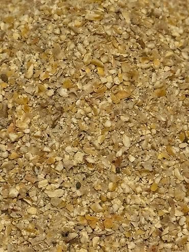 жил азык: Битая кукуруза Цена договорная Оптовые поставки от — 1