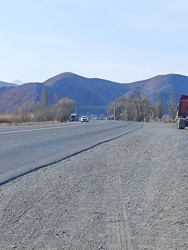 дом чон сары ой: 2 соток, Красная книга — 6