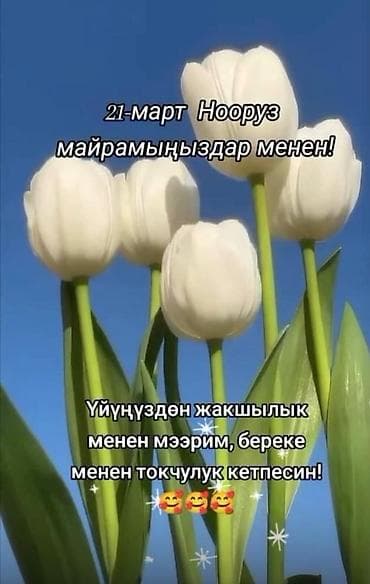 Праздничная открытка к Ноорузу (21 марта) - Дизайн: нежные белые